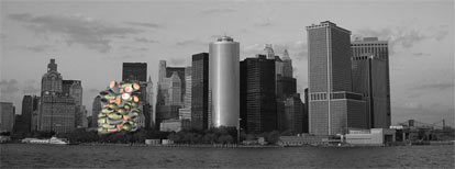 Softhousing in New York