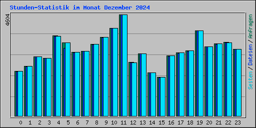Stunden-Statistik im Monat Dezember 2024