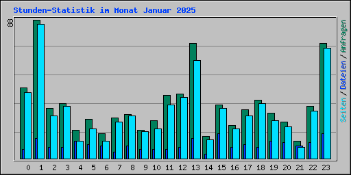 Stunden-Statistik im Monat Januar 2025