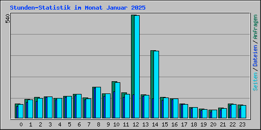Stunden-Statistik im Monat Januar 2025