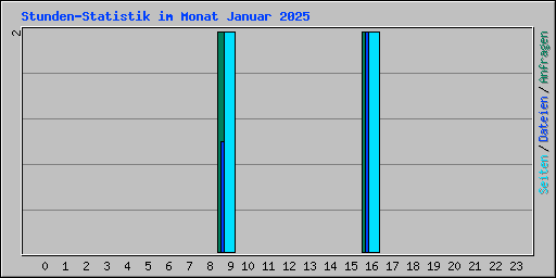 Stunden-Statistik im Monat Januar 2025