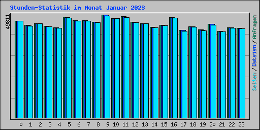Stunden-Statistik im Monat Januar 2023