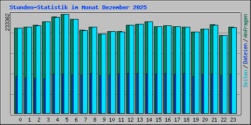 Stunden-Statistik im Monat Dezember 2025