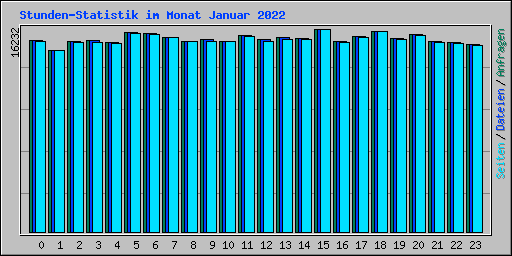 Stunden-Statistik im Monat Januar 2022